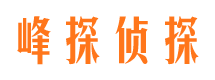 蜀山市婚外情调查